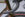 Jaegher studio gray 001 039
