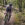 Tom Boonen Jaegher Hurricane gravel bike